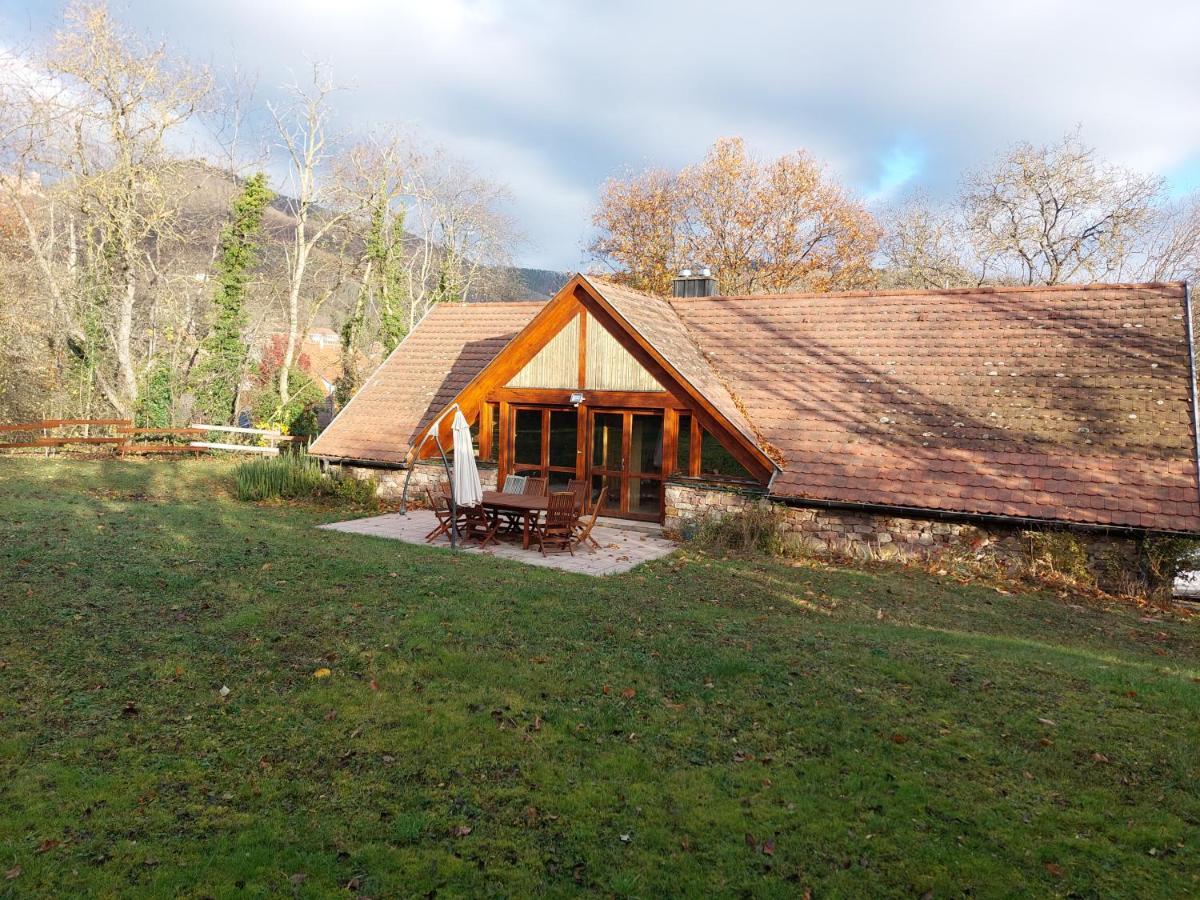 La Canopee Alsacienne - Magnifique Maison A Ribeauville Eksteriør billede