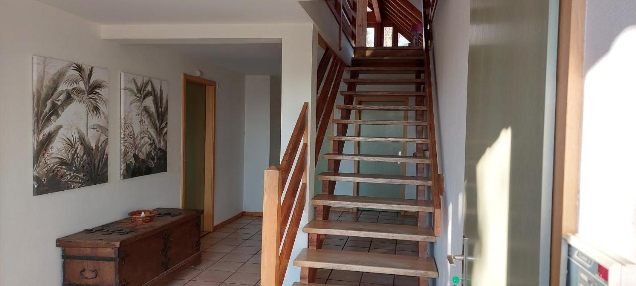 La Canopee Alsacienne - Magnifique Maison A Ribeauville Eksteriør billede