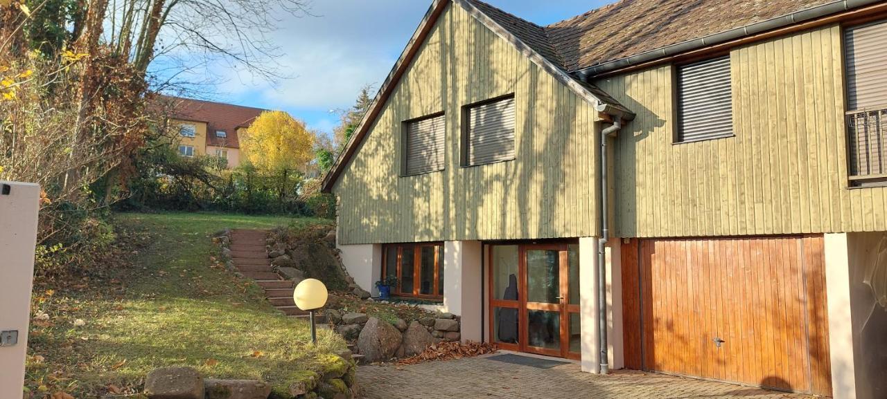 La Canopee Alsacienne - Magnifique Maison A Ribeauville Eksteriør billede