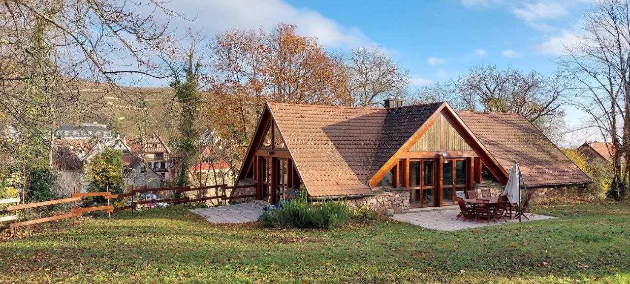 La Canopee Alsacienne - Magnifique Maison A Ribeauville Eksteriør billede